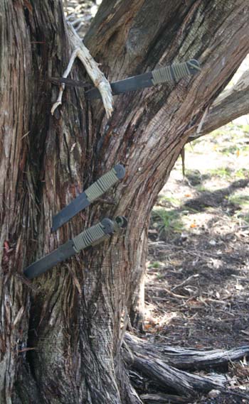 Four knives in tree